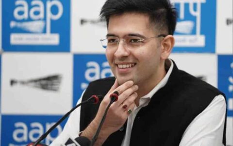 raghav chaddha personality rights