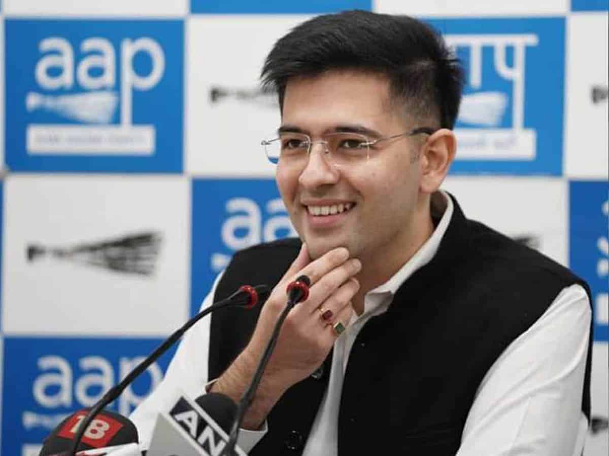 raghav chaddha personality rights